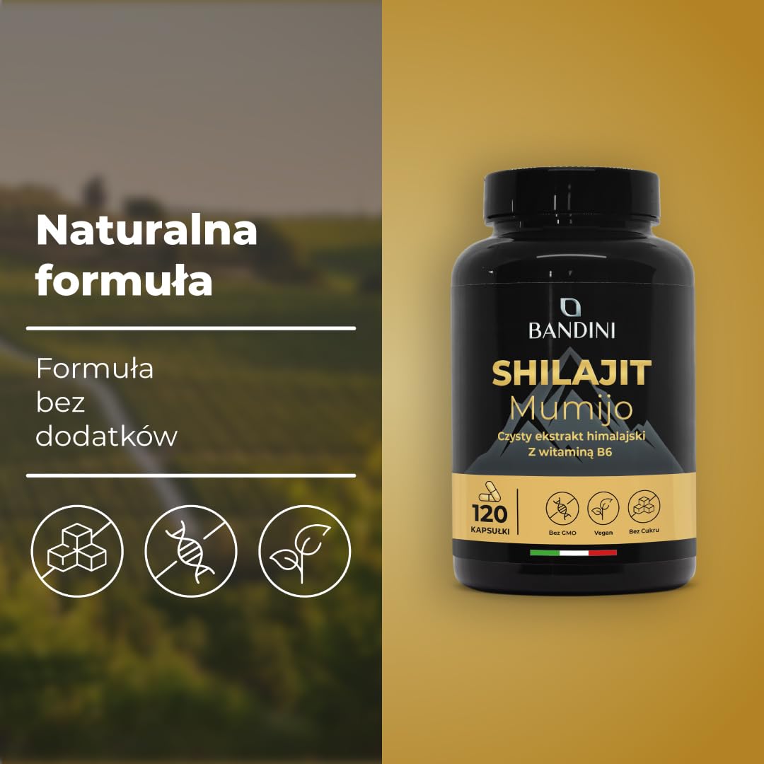 Bandini® Mumijo Shilajit 40.000mg 120 kapsułek, oryginalny z Himalajów, bogaty w 85 minerałów, z 80% kwasem fulwowym i witaminą B6, ponad 85 pierwiastków śladowych, wegański, 1000 mg na dzienną dawkę