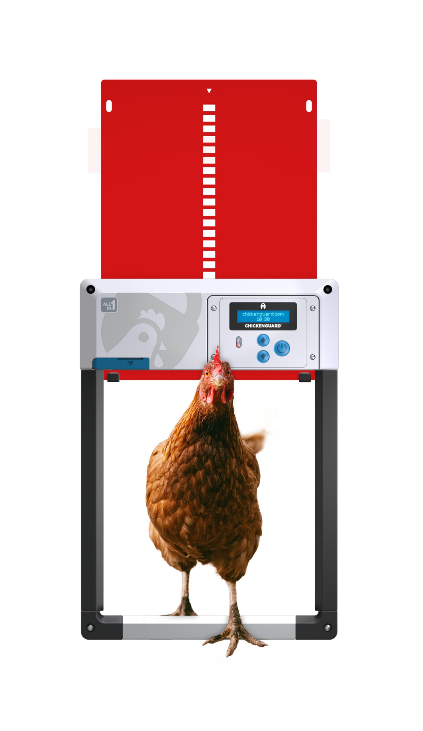 Hühnerklappe Automatisch ChickenGuard All-in-One, Hühnerstalltürfarben in Vier Farben, Timer/Lichtsensor, Auto-Stop, Raubtiersicher, Wintermodus-Power-Boost, Batterien Enthalten (Rot + Batterien)
