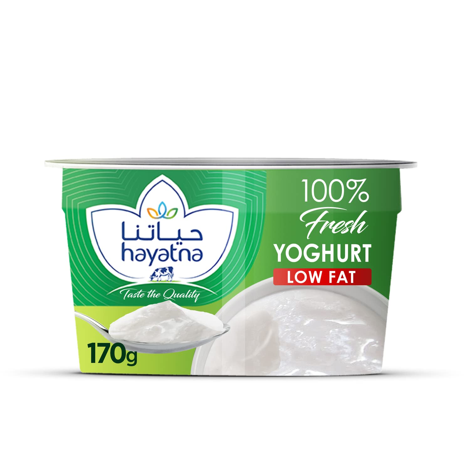 Hayatna Low Fat Yoghurt Rich in Protein & Calcium 170 g