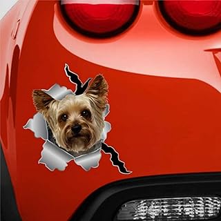 Lady Cat Decor Yorkshire Terrier Yorkie Sticker Terrier Sticker Car Window Sticker Yorkie York Dog Sticker Car Decal Window Decal 3D Stickers Vinyl Decal Die Cut Decals Funny Bumper Stickers pct1