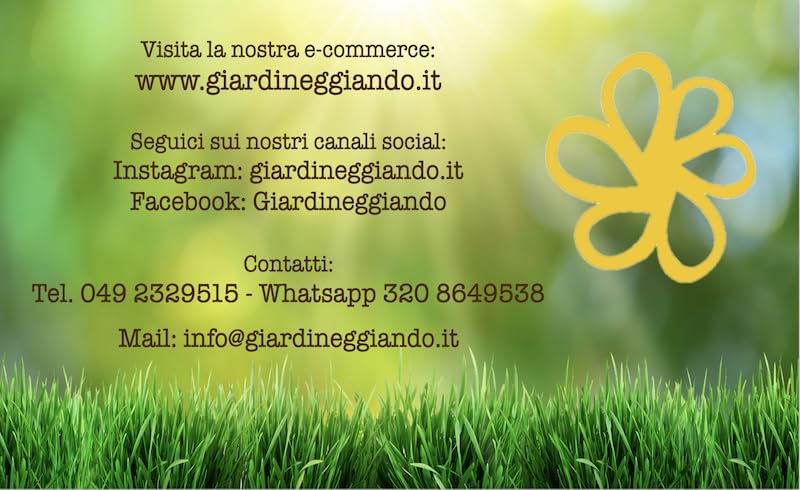 Concime da prato granulare K-GREEN PRE-STRESS 13-5-26 (2% MgO-30% SO3) sacco 25kg