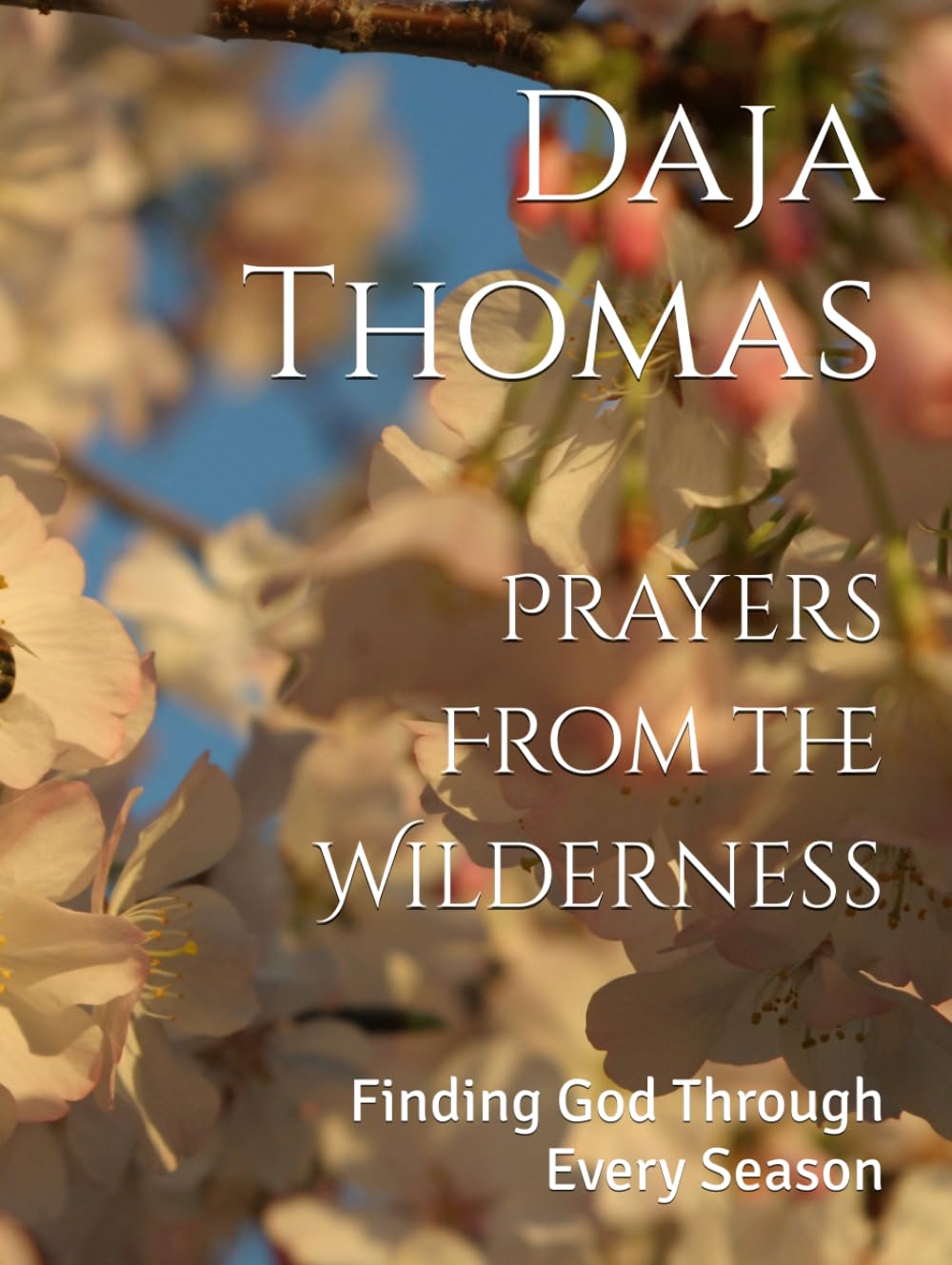 Prayers From the Wilderness: Finding God Through Every Season