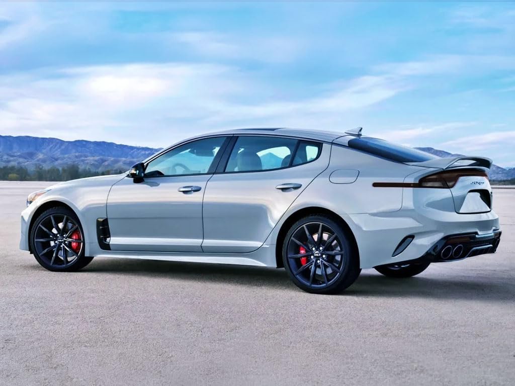 Rvinyl Tail Light Pre Cut Film Tint Cover Kit in Blackout Smoke Compatible with Kia Stinger 2022-2023 - Adhesive Backs
