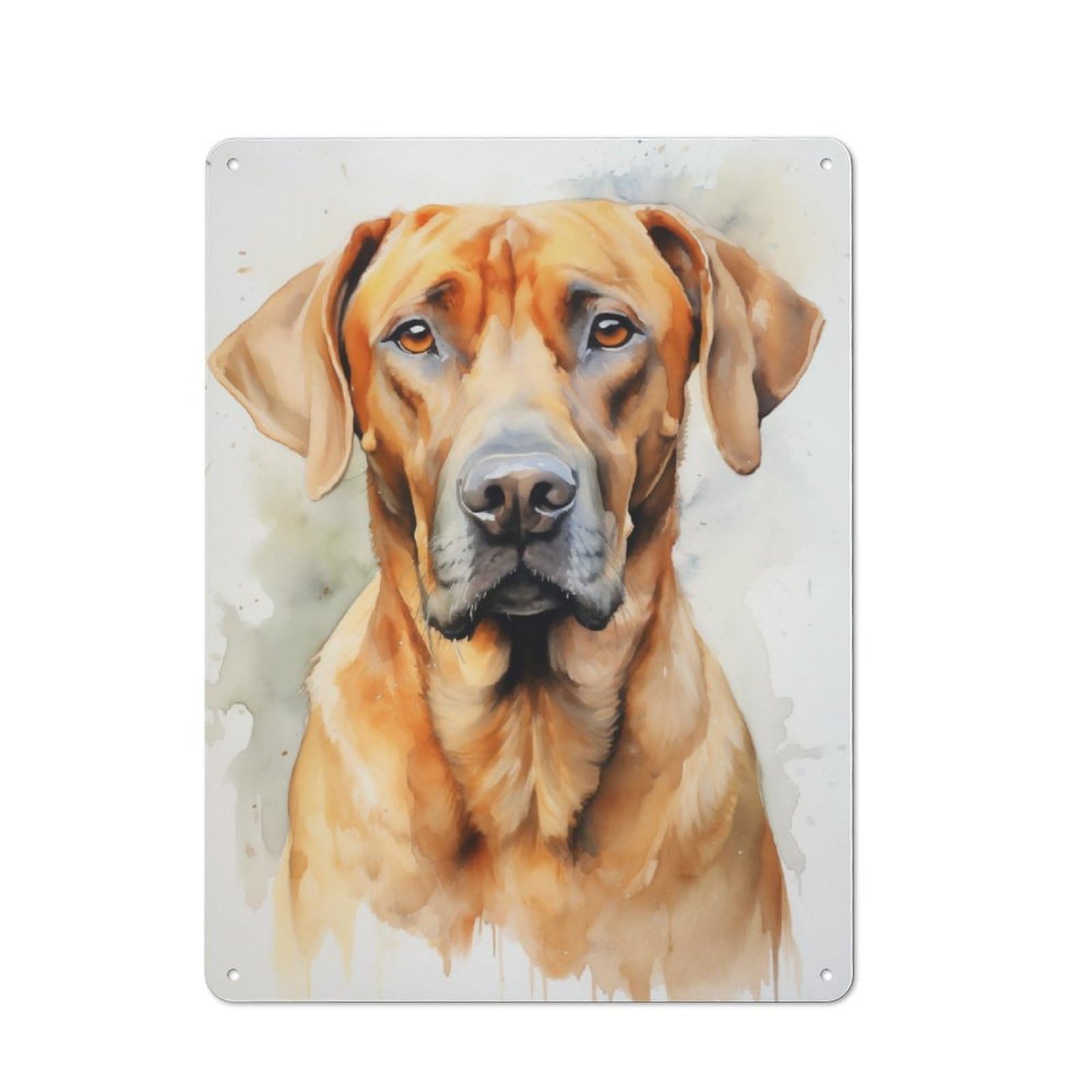 Junmoney Rhodesian Ridgeback Dog For Garden Room Or Summerhouse, Retro Tin Sign 40X30cm, Suited To Wall Displays In Garden Rooms And Summerhouses