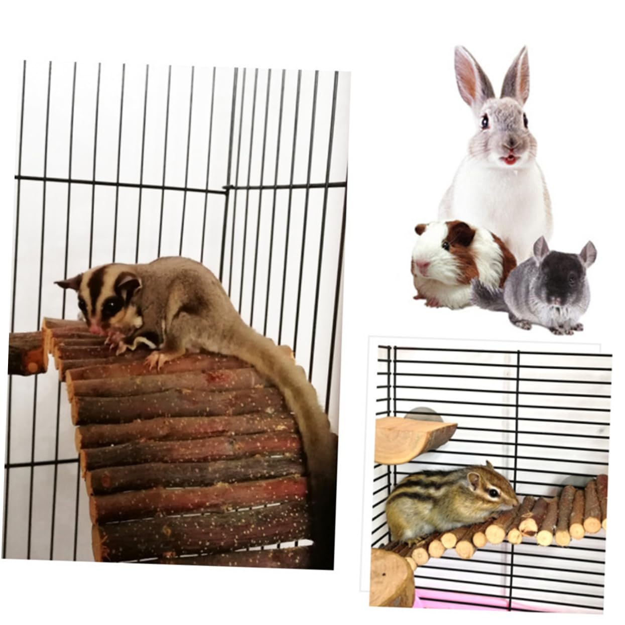 INOOMP 2stücke Kletterleiter Aus Holz Für Kleintiere Hängende Brücke Und Spielzeug Für Hamster Mäuse Und Andere Nager Zum Spielen Und Kauen
