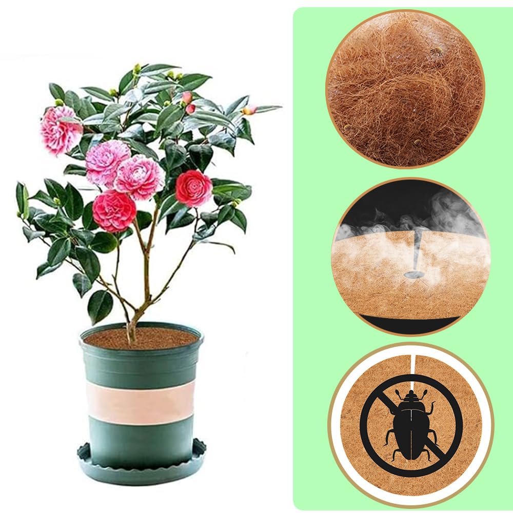 Tapis De Coco Plantes, 6 Pièces 30cm Tapis De Noix De Coco Disque De Protection Plante, Fibre De Coco Protection Hivernale Coco Pour Plantes En Pot Plantes Protection Tapis