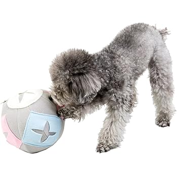 dog feeding ball