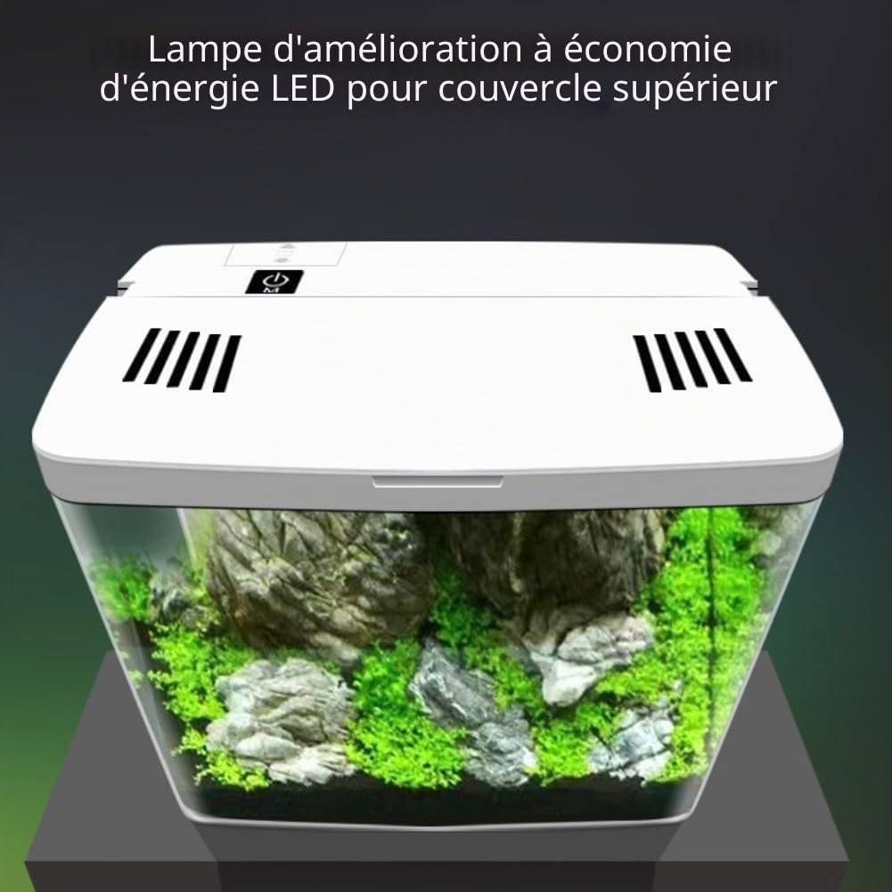 Zoegneer Aquarium de table pour petits poissons Betta avec lumières LED intégrées, pompe silencieuse, système de filtration multi-étages (blanc)
