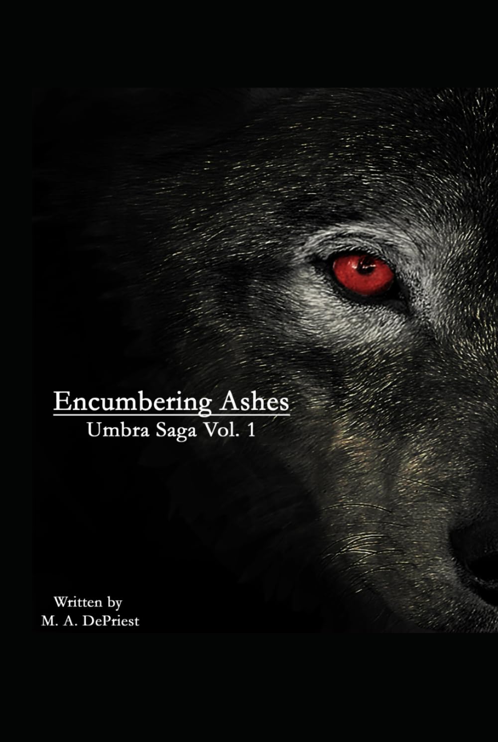 Encumbering Ashes (Umbra Saga Collection Series)