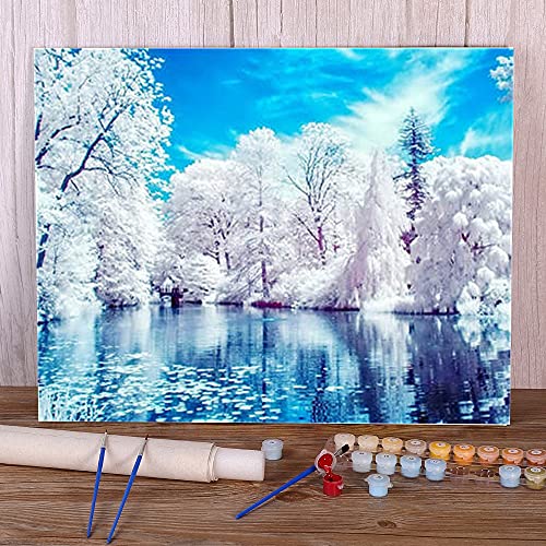 Zdklfm69 Peindre par Nombre Peinture par numéro Paysage Hiver Neige Paysage Ensemble Peintures Acryliques Décor À La Maison Artisanat Travail Manuel (Pas de Cadre) 40x50cm