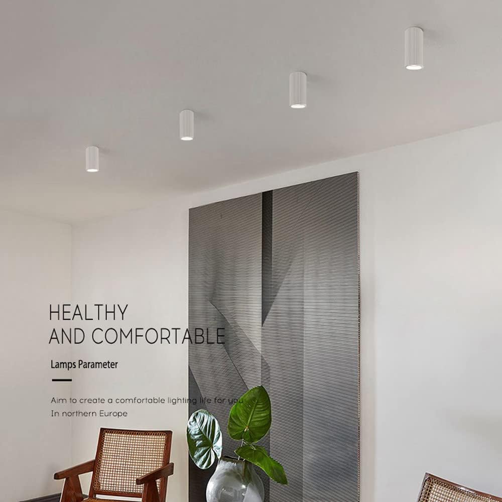 Modern Surface Mounted Spotlight GU10 Ceiling Downlight Set of 2, Resin Hallway Ceiling Light Fixtures, Directional Spotlights Accent Lamps for Gallery Living Room