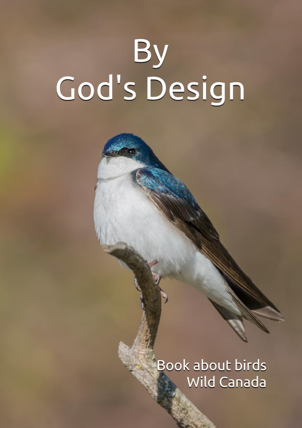 By God's design: Book about birds