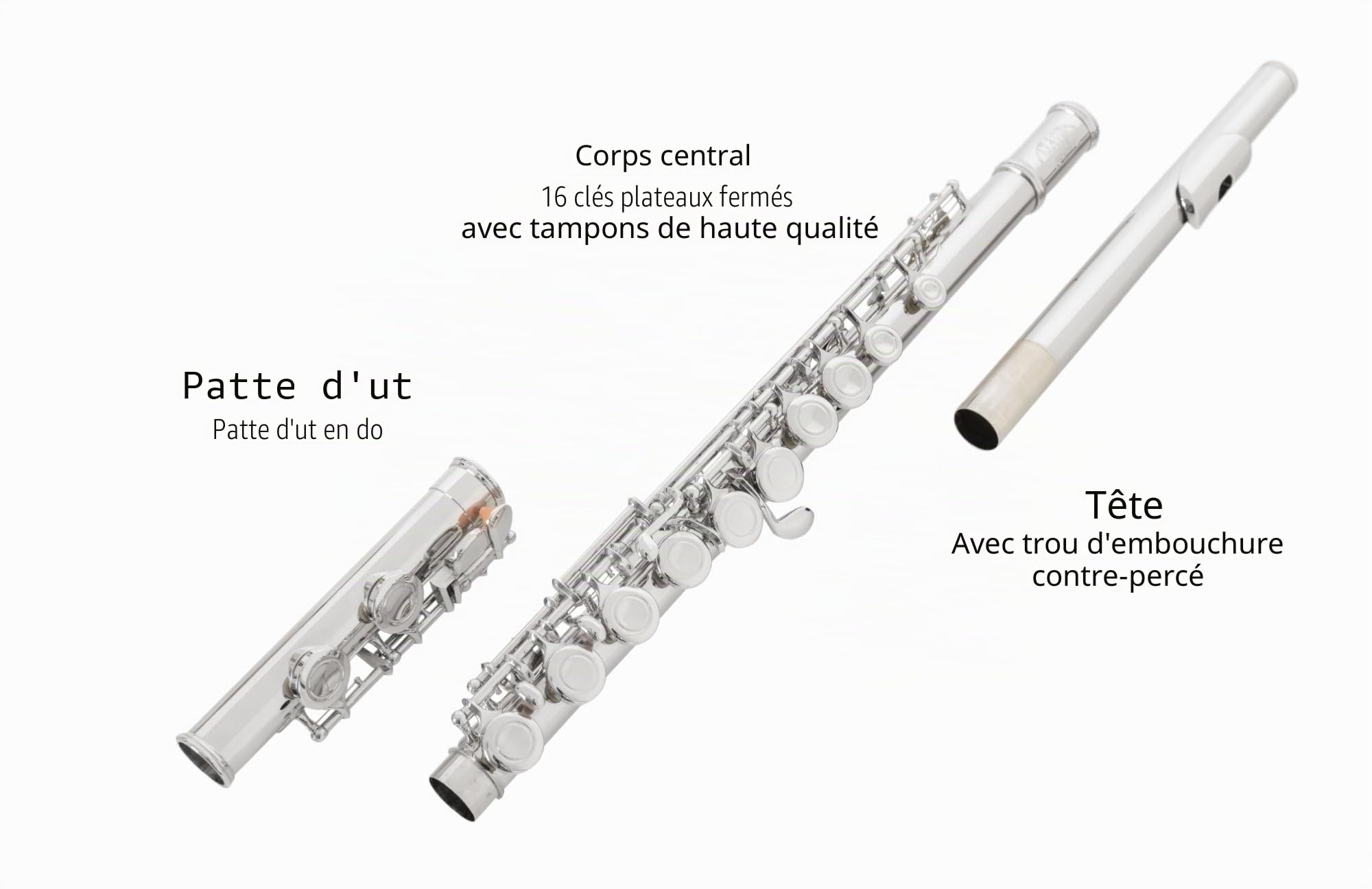 Classic Cantabile FL-100 Flûte Traversière, idéale débutants, maillechort nickelé, clés fermées, mécanique en E, sol avancé, accord en do, étui et accessoires inclus, finition argentée.