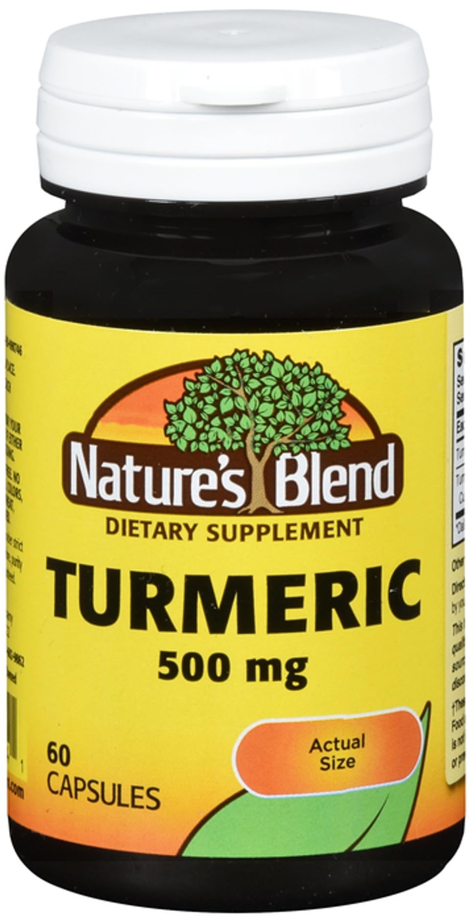 Nature's Blend Turmeric 500mg, 60 Capsules, (Pack of 2)