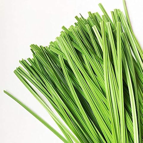 VIMOA Garden Twist Tie Plant Ties Stripes 200 pcs 6 inches for Plants, Vines and Wrapping Cords or Christmas tree Cover