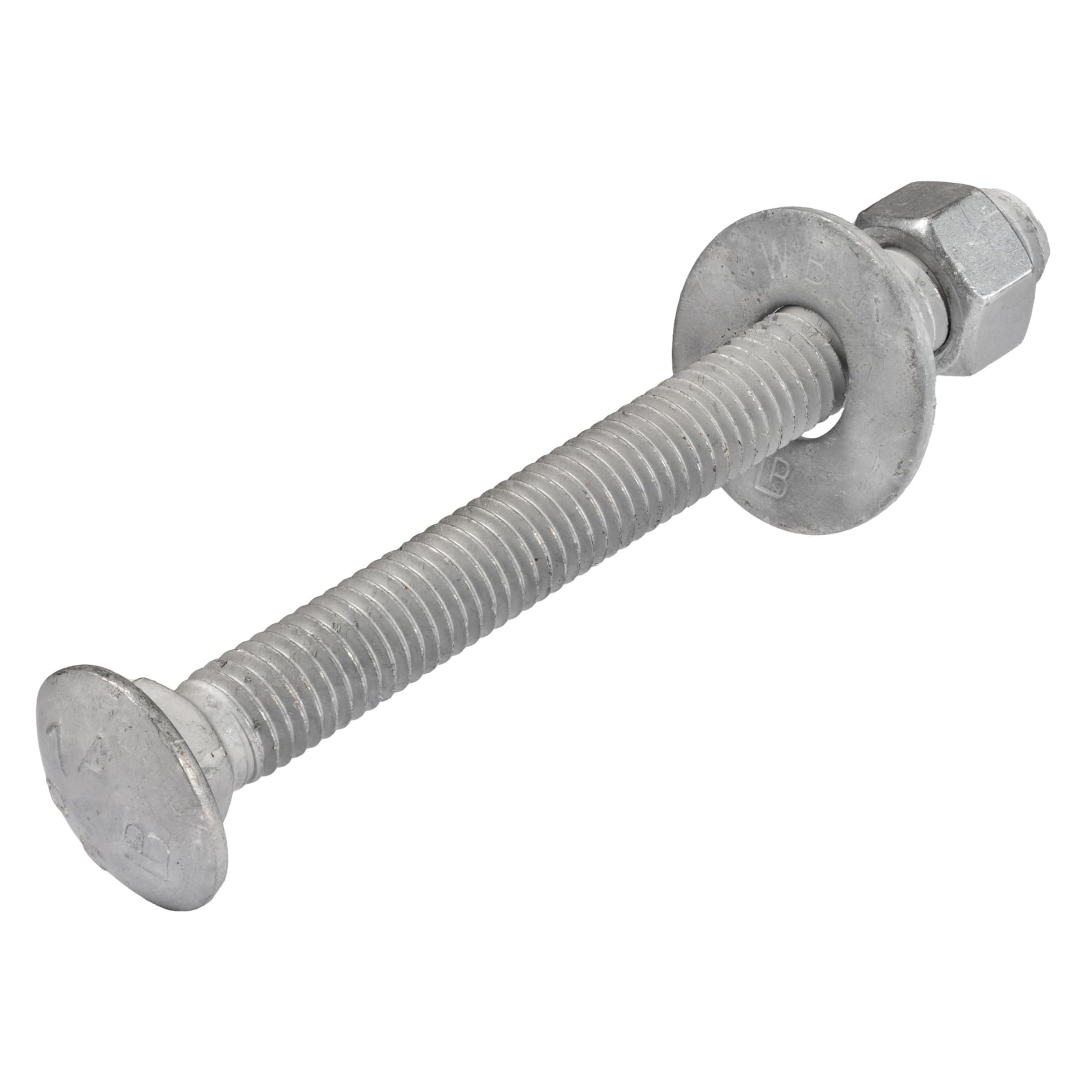 Galvanized Carriage Bolts - 50 Pack for Outdoor Projects -12