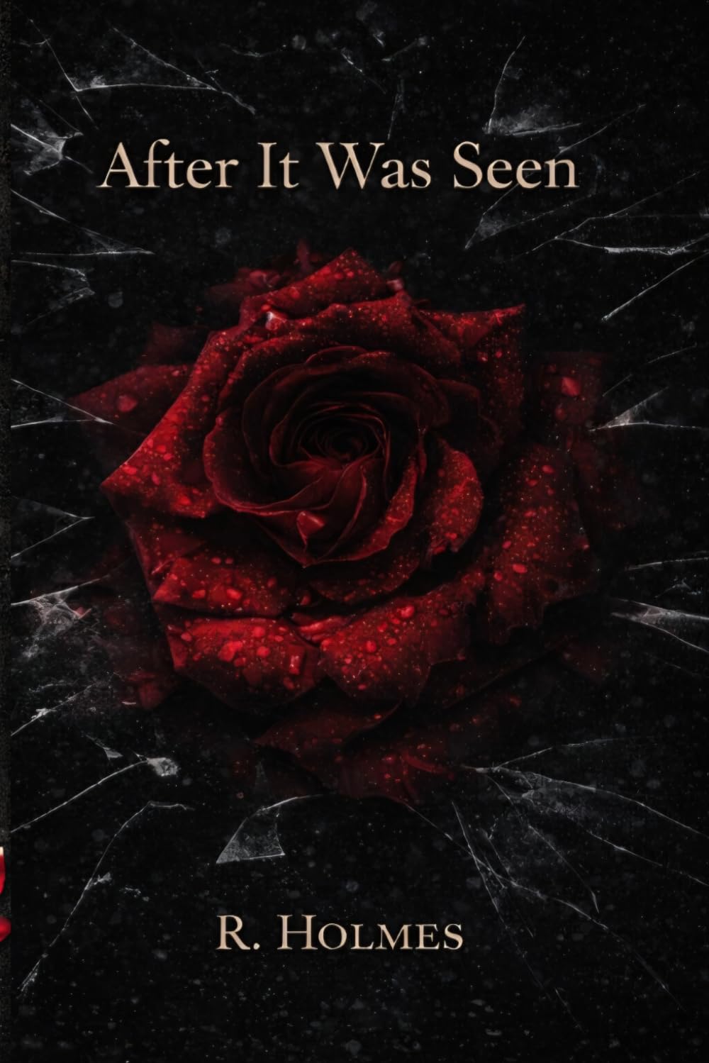 After It Was Seen: The Quiet Between Us-Book Two