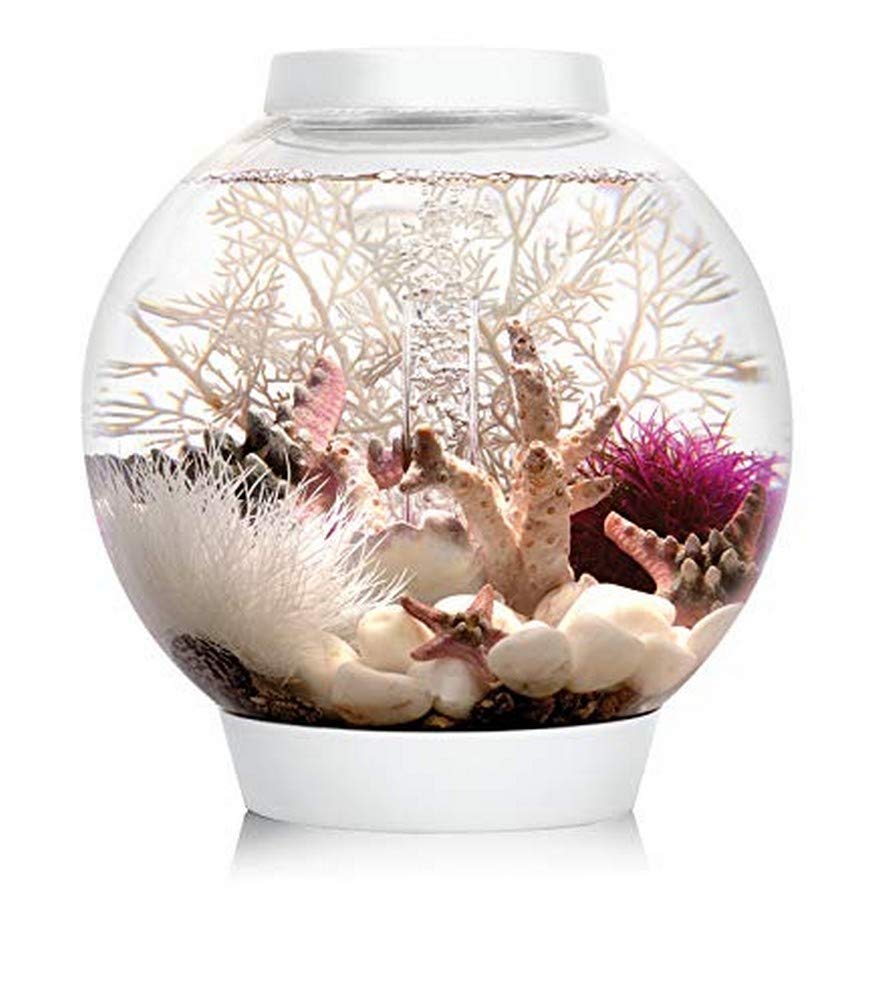 biOrb 72001 CLASSIC 15 LED, 15 L, weiß - Acryl-Aquarium in Kugelform, Komplett-Set mit patentiertem Filtersystem, LED-Beleuchtung