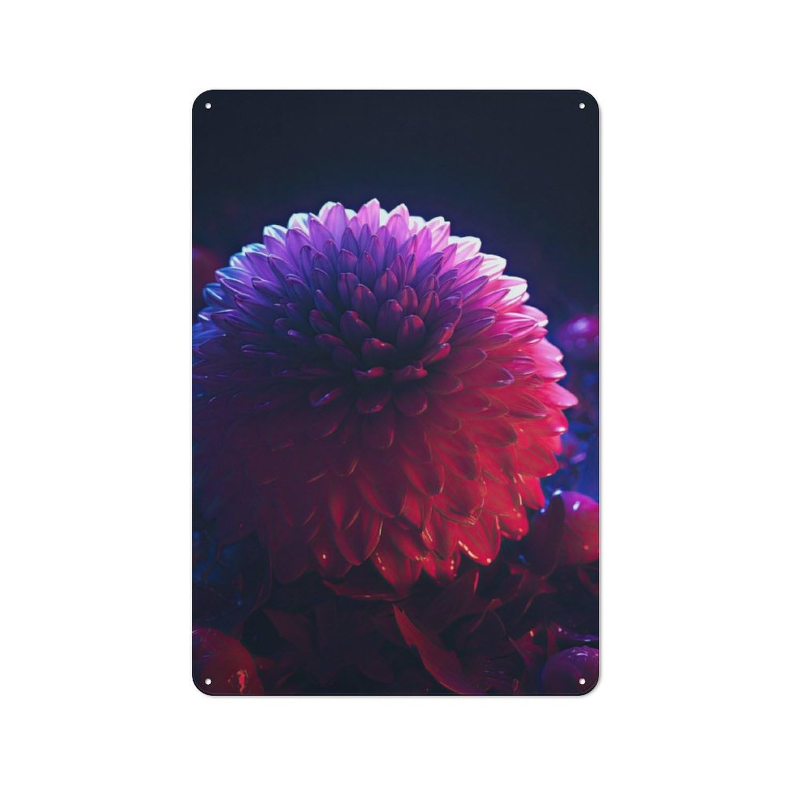 Classic Dahlia Flower Metal Wall Sign 30x20cm, Pub Wall Decor for Diner, Restaurant, Shed Or Kitchen