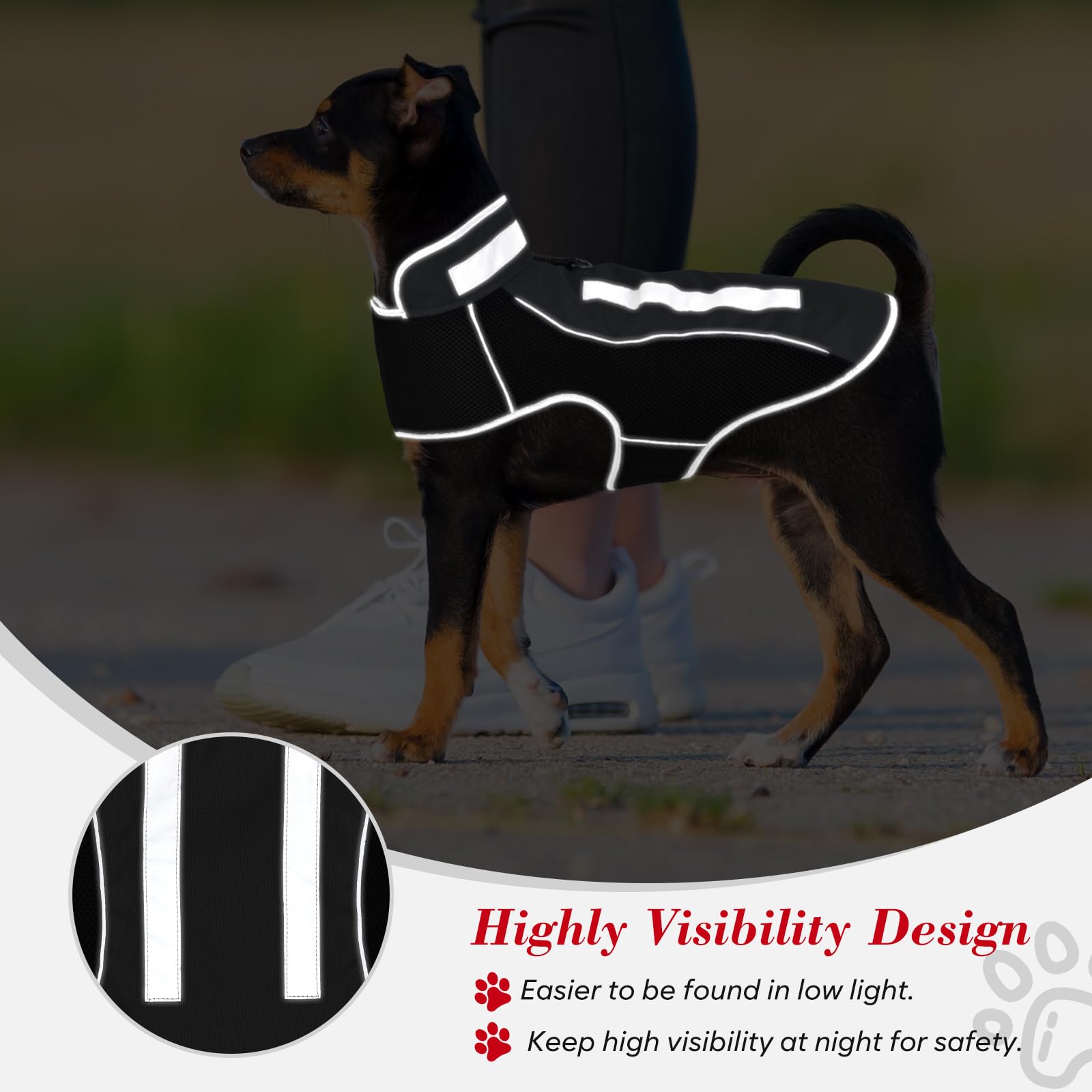 Kleine Hundejacke, warme Winter-Hundejacke, reflektierende Haustierjacke mit Fleece, Haustierkleidung für kleine, mittelgroße Hunde (Grau, M)