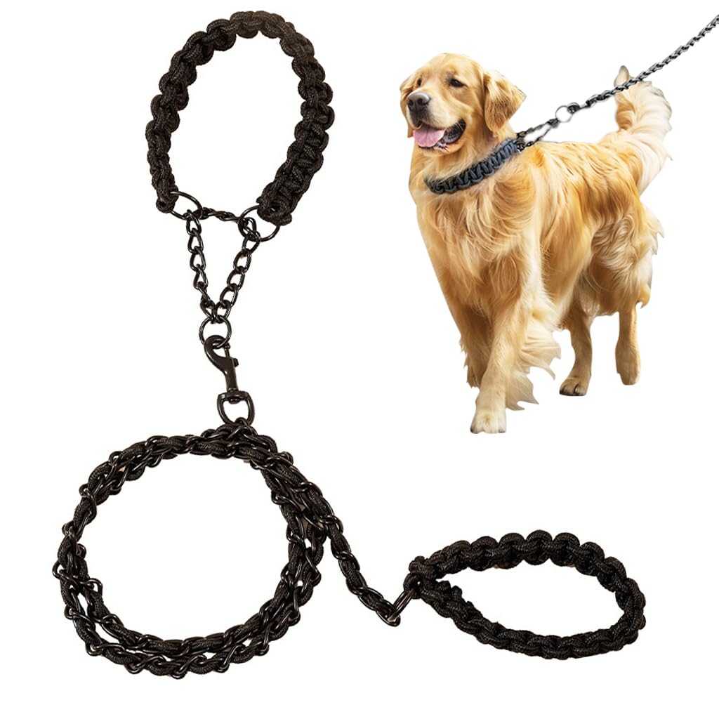 Qpets® Dog Leash Metal, Dog Chain Leash for 33-60 lbs Medium Large Dog Breeds 5.5Ft Iron Chain Leash with Nylon Handle, Quick Release Dog Leash for Border Collie, Brittany Spaniel, Bull Terrier, L (B0D6W9DKPG) Amazon Price History, Amazon Price Tracker