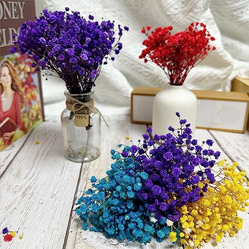 6 piezas Ramo Mini Gypsophila preservada azul miniatura 7