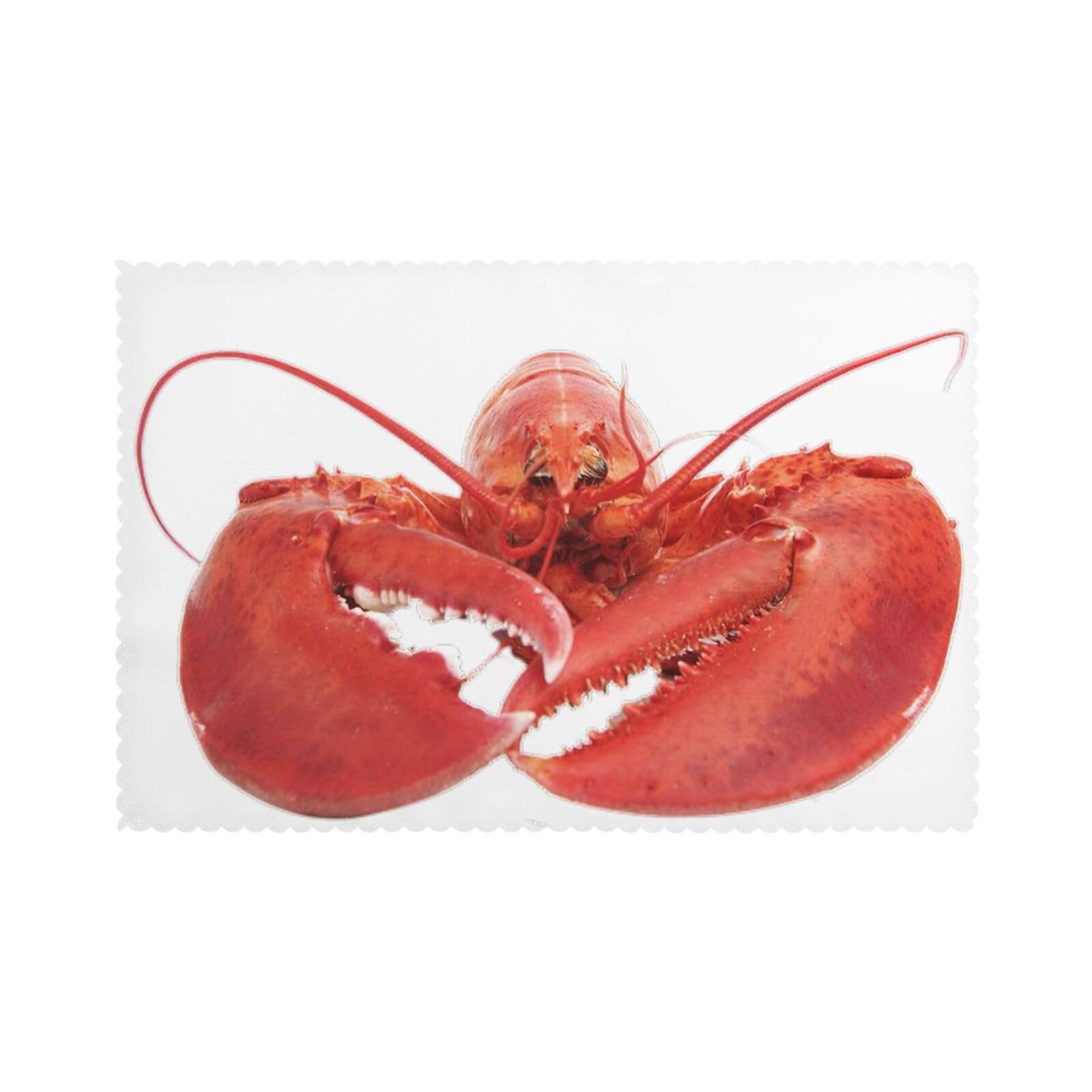 Lobster Print Placemats Set Of 6, 12x18 Inch Polyester Washable Heat Resistant Kitchen Dining Table Mats