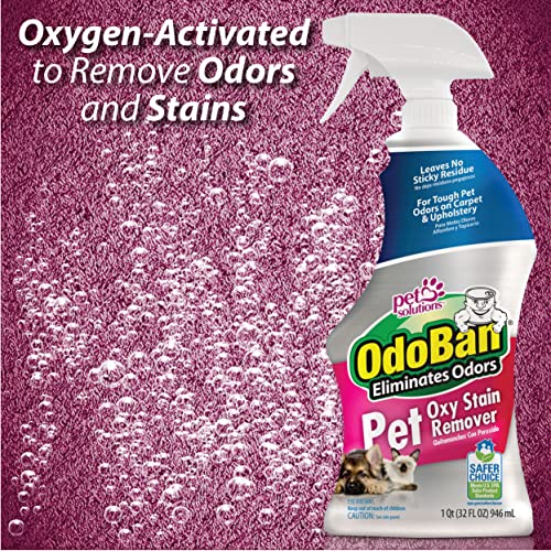 Odoban Pet Solutions Oxy Stain Remover, Pet Stain Eliminator, 2-Pack, 32 Ounce Spray Each #TOP2