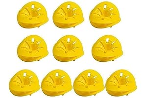 INDOOR WASP TRAPS 10 PACK, OUTDOOR REUSABLE HORNET & BEE CATCHER