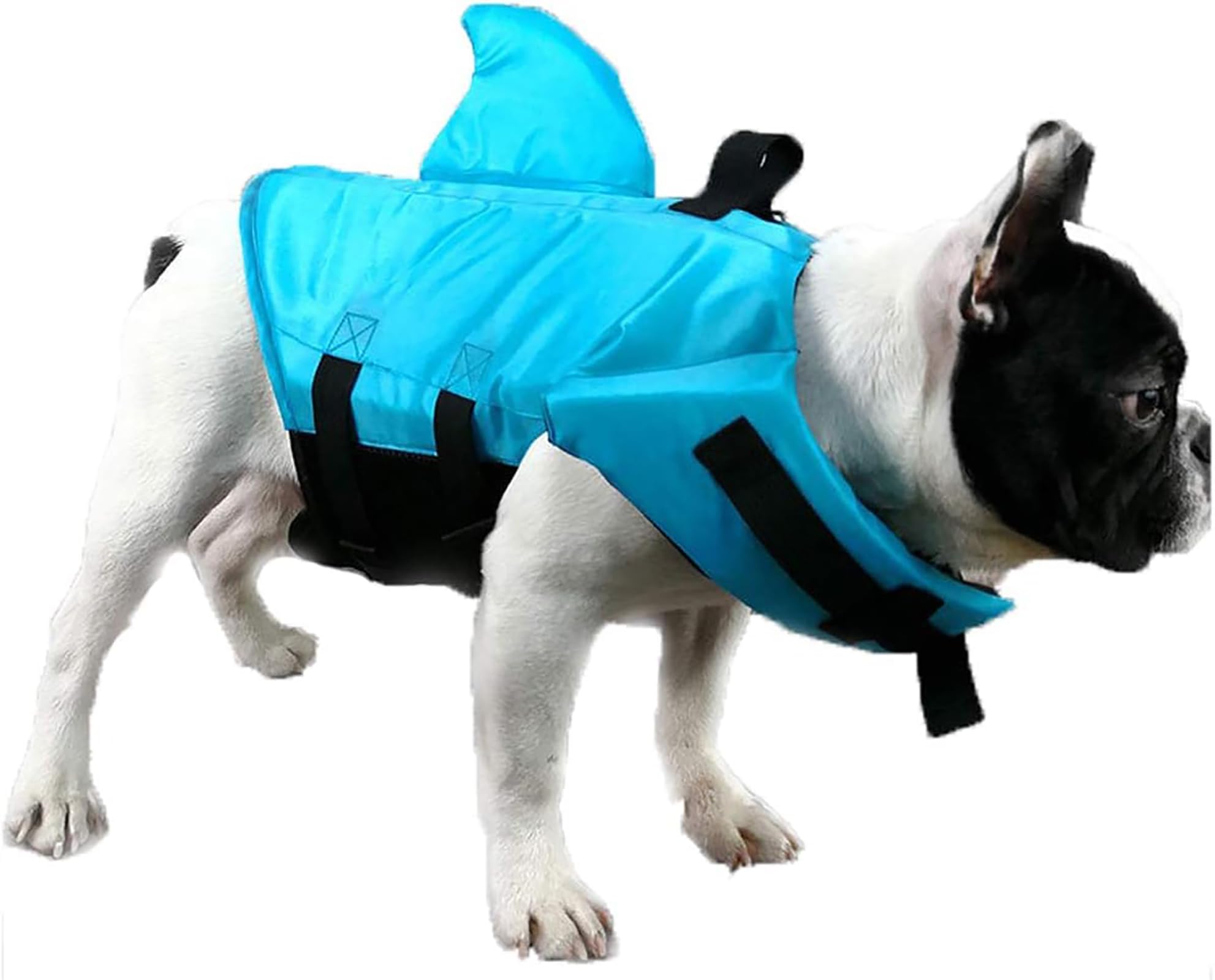 GabeFish Shark Gilet de sauvetage pour chien Bleu orange, M (Weight: 17-48lb/8-22kg), bleu