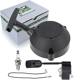 partszen 4282 190 0303 Recoil Starter with Ignition Coil Spark Plug for Stihl BR600 BR550 BR500 BR700 Replace 4282 400 1305
