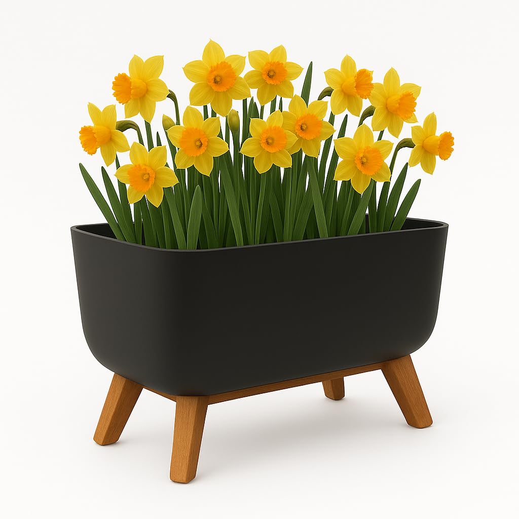 Gardening Naturally Indoor Plant Pot Zinnia Stylish and Durable Planter for Houseplants (Trough Pot 40cm x 20cm - Anthracite)