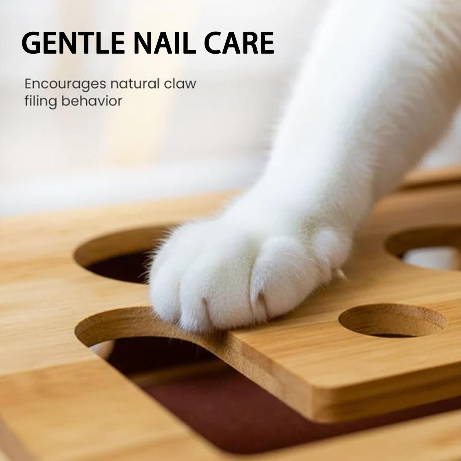 Scatola di Arricchimento per Puzzle Antigraffio di Gatto, Scatola di Arricchimento Antigraffio per Lima per Unghie Interattiva con Carta Vetrata per Lima per Unghie All'interno