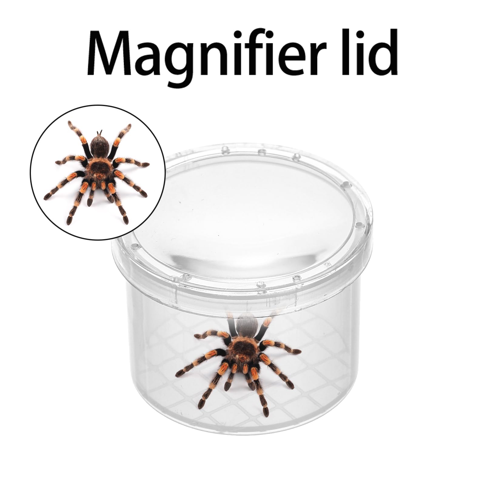 Snapklik.com : 40 Packs Bug Viewer Critter, Insect Cage Magnifying ...