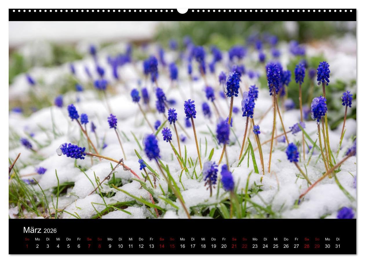 Naturwunder Norddeutschlands (hochwertiger Premium Wandkalender 2026 DIN A2 quer), Kunstdruck in Hochglanz: Naturfotografien von Laura Kranich (CALVENDO Natur)