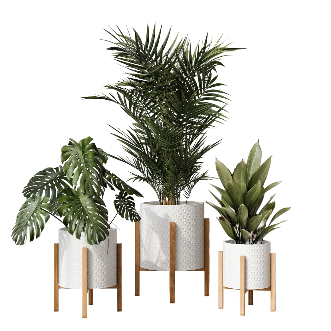 EverNestClaire Minimalist White Plant Pot with Kinsley Wood Stand, Indoor Mid-Century Planter, SelectBase, Modern Plant Holder, Boho Style Home Décor Pots (Set of 3)