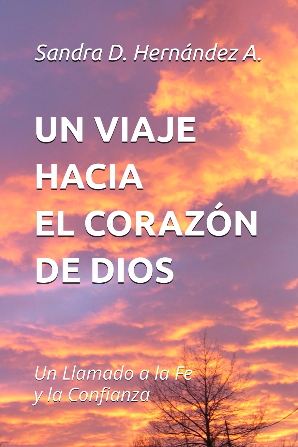 UN VIAJE HACIA EL CORAZÓN DE DIOS: Un Llamado a la Fe y la Confianza