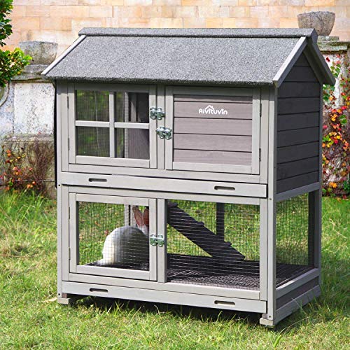 Best Rabbit Hutch In The World 10Reviewz