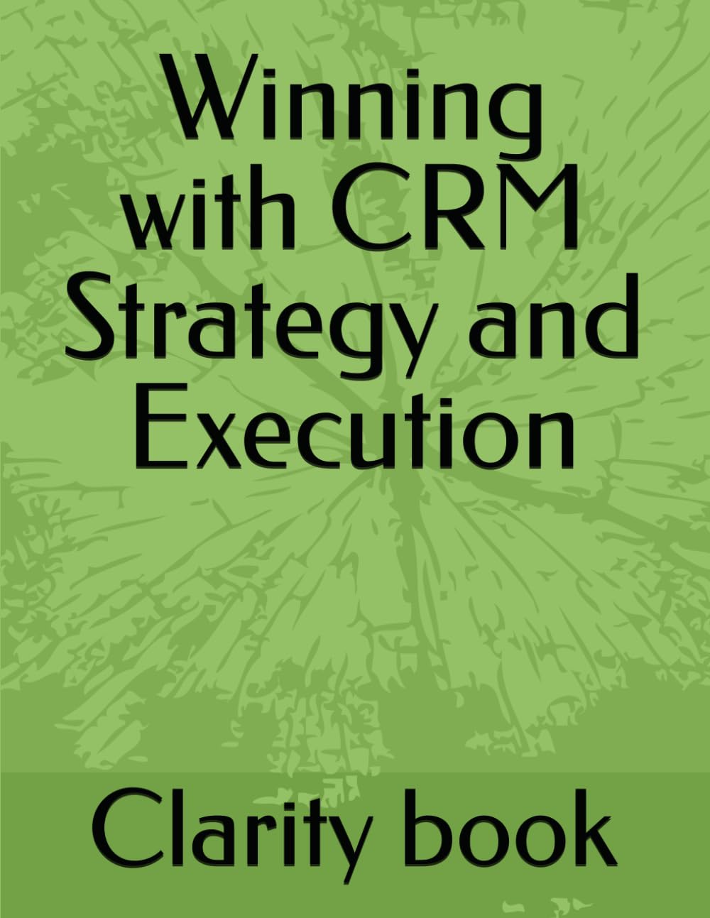 Winning with CRM Strategy and Execution