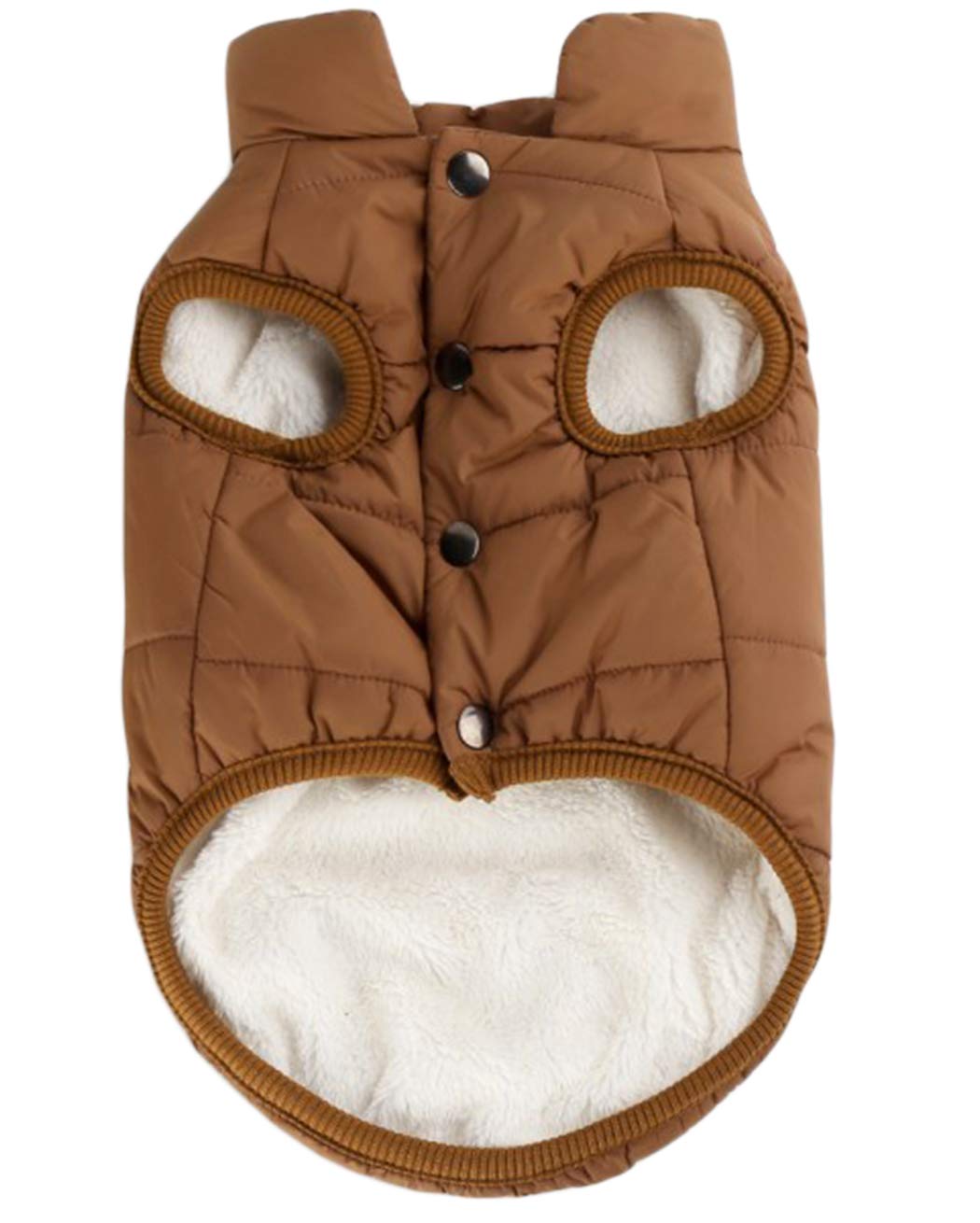 Manteau d'hiver pour chien parfait pour les balades au parc
