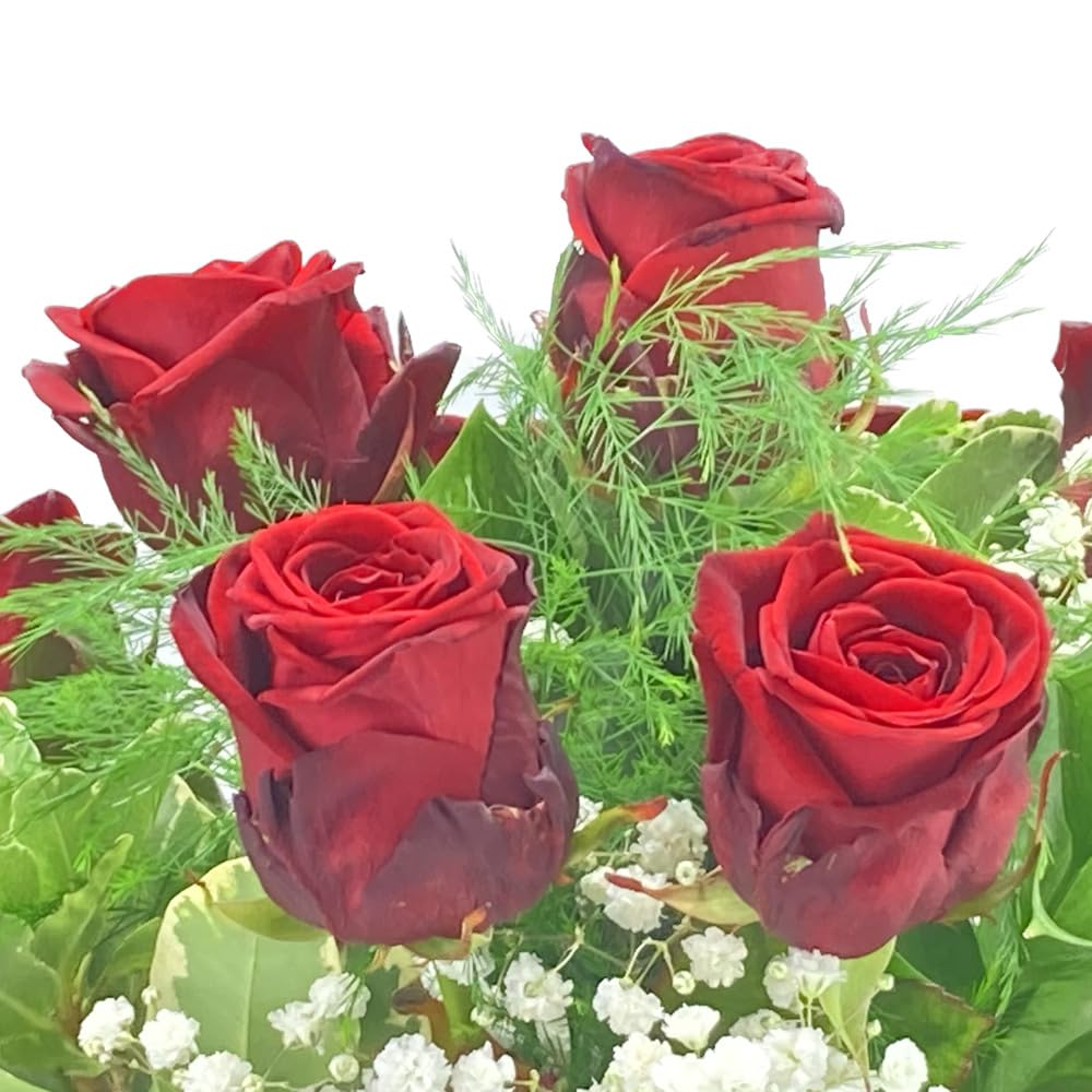 Roter Rosenstrauß - Blumenstrauß mit 10 roten XXL Rosen und Schleierkraut - Inklusive gratis Grußkarte