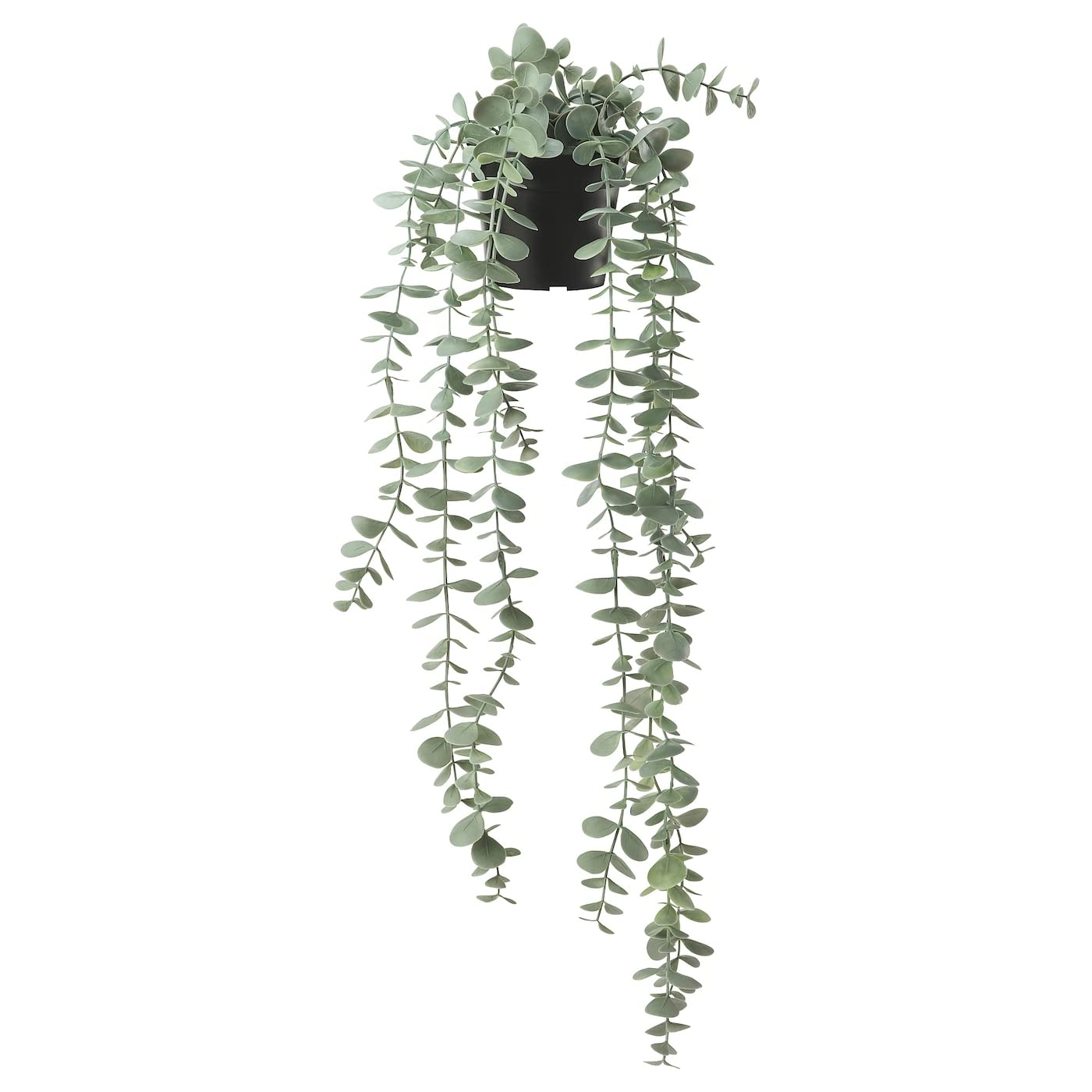 Amazon｜IKEA (イケア) FEJKA：人工観葉植物/つり下げ型58 cm