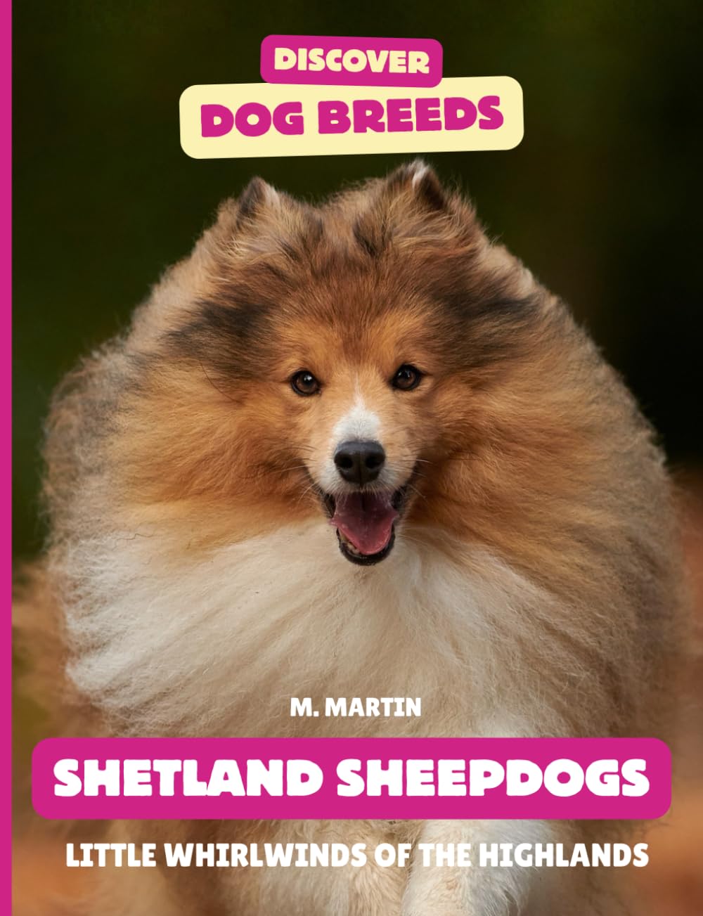 Shetland Sheepdog: Little Whirlwinds of the Highlands (Discover Dog Breeds)