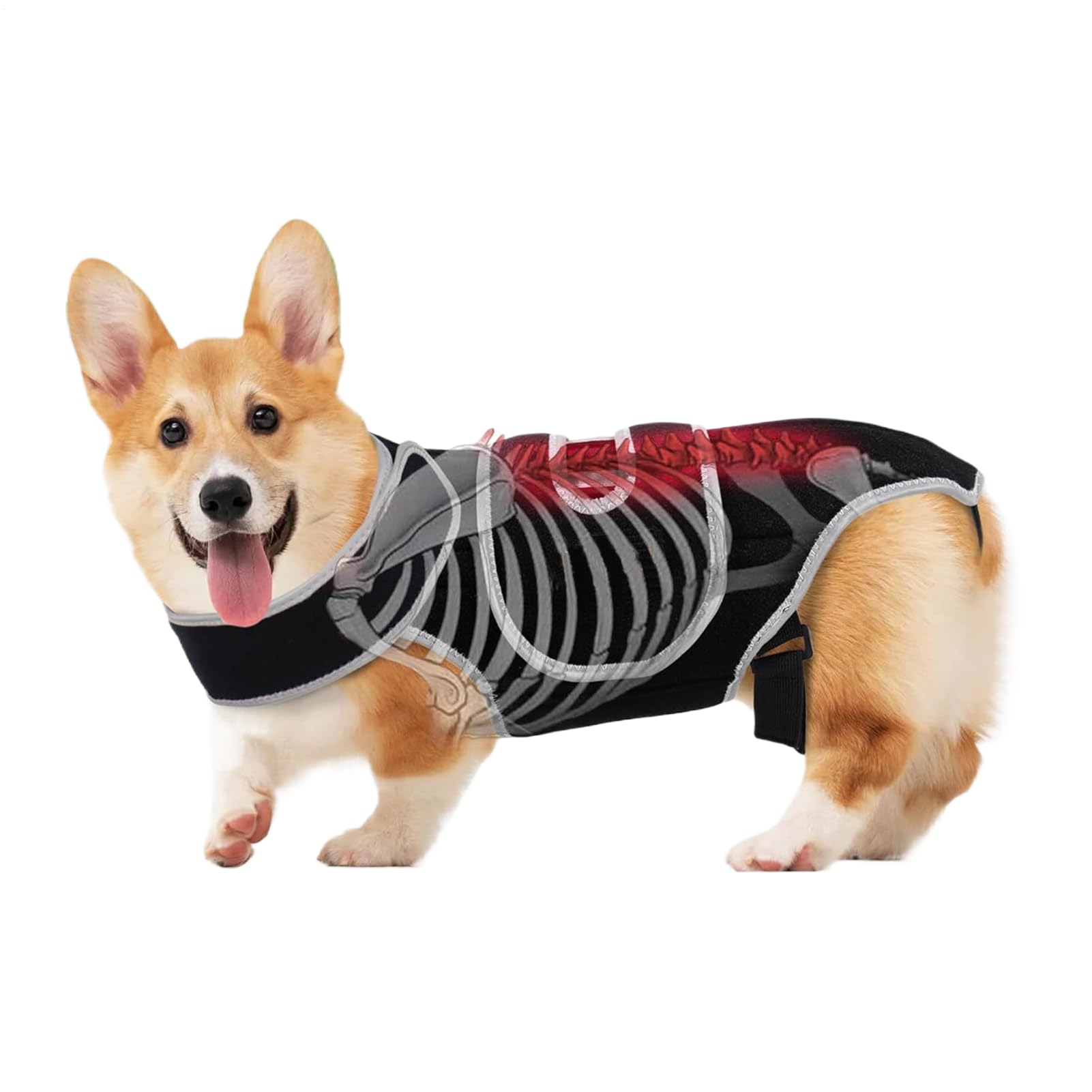 Supporto per la schiena per cani, regolabile, in neoprene, 450 g, imbracatura di supporto per la riabilitazione del cane, per le scale, camminare, jogging, casa, all'aperto, viaggi