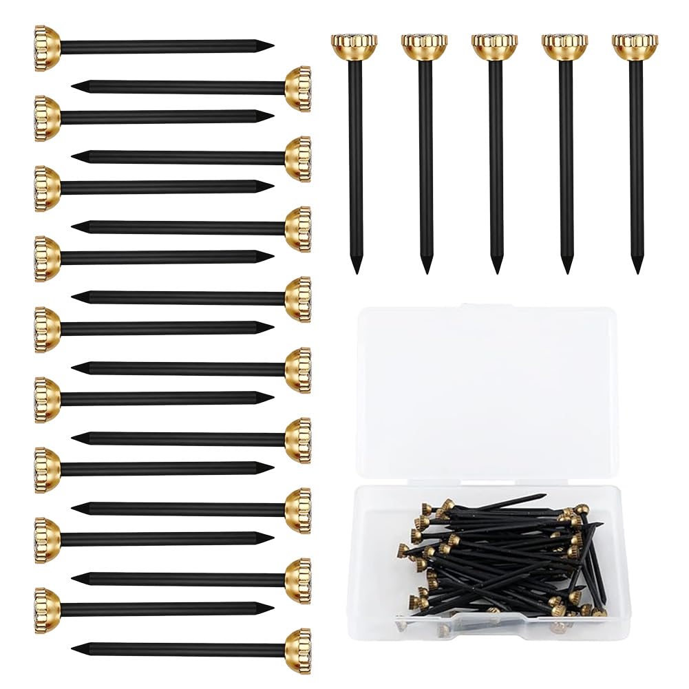 Vexorlian 60 PCS Brass Picture Pins with Storage Box,Picture Pins Frame Hanging Nail for Photo Frames & Art