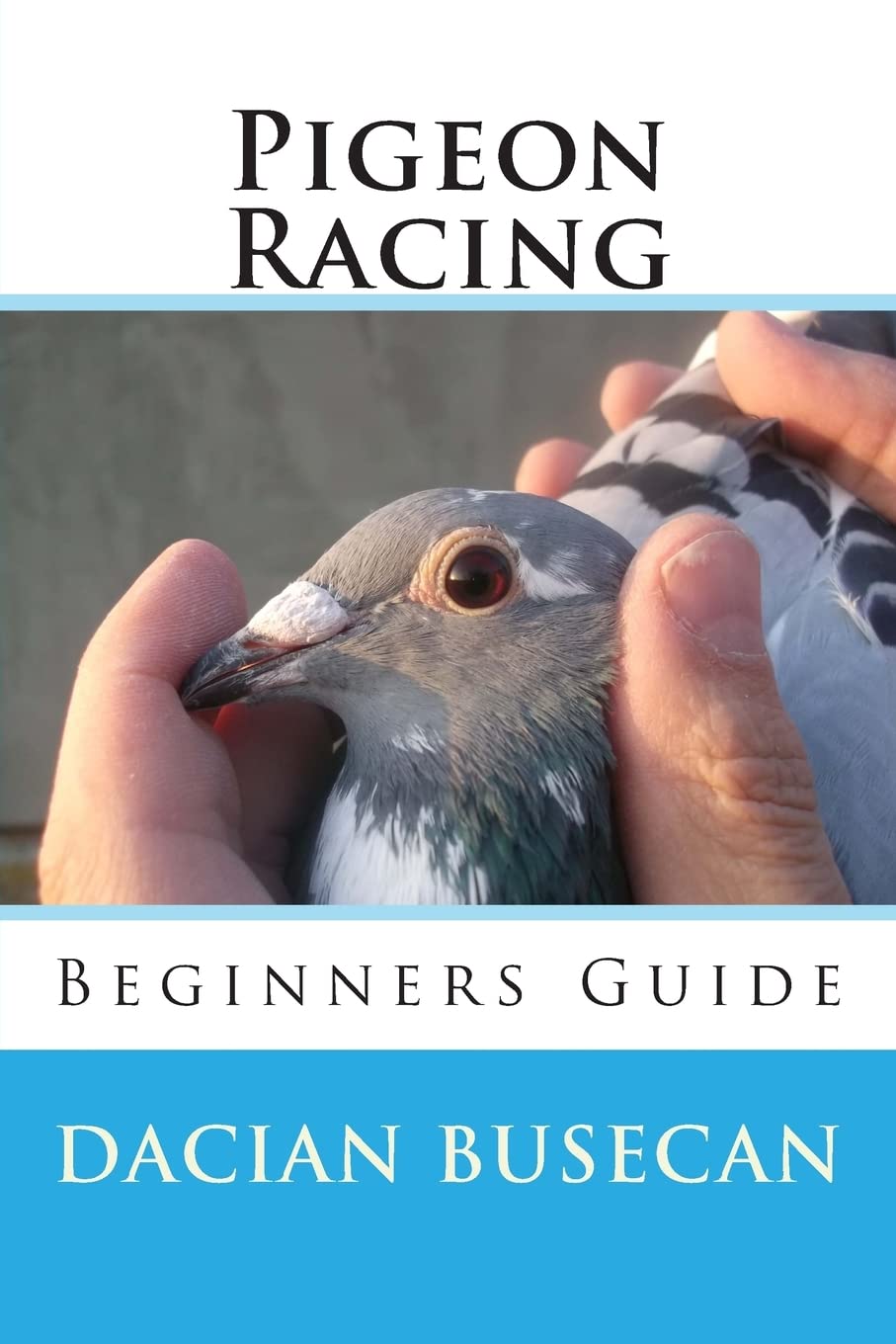 Pigeon Racing: Beginners Guide