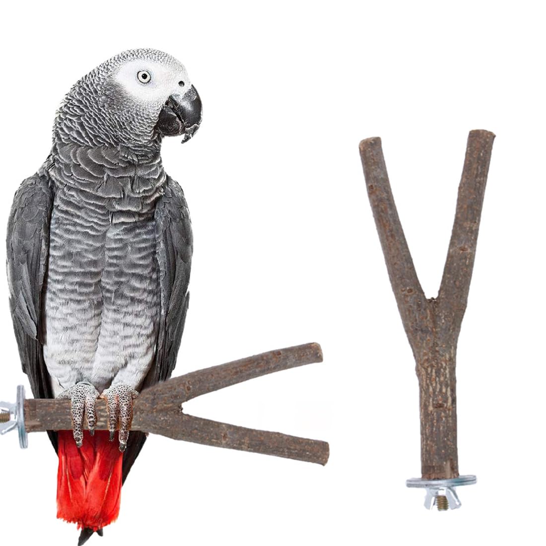 1 Pieza Perchas de Madera Natural para Pájaros, Ramitas de Madera, Ramas de Madera en Forma de Jaula, Perchas Forma Y para Loros, Soporte para Pájaros, para Pájaros Pequeños, Loros, Palomas