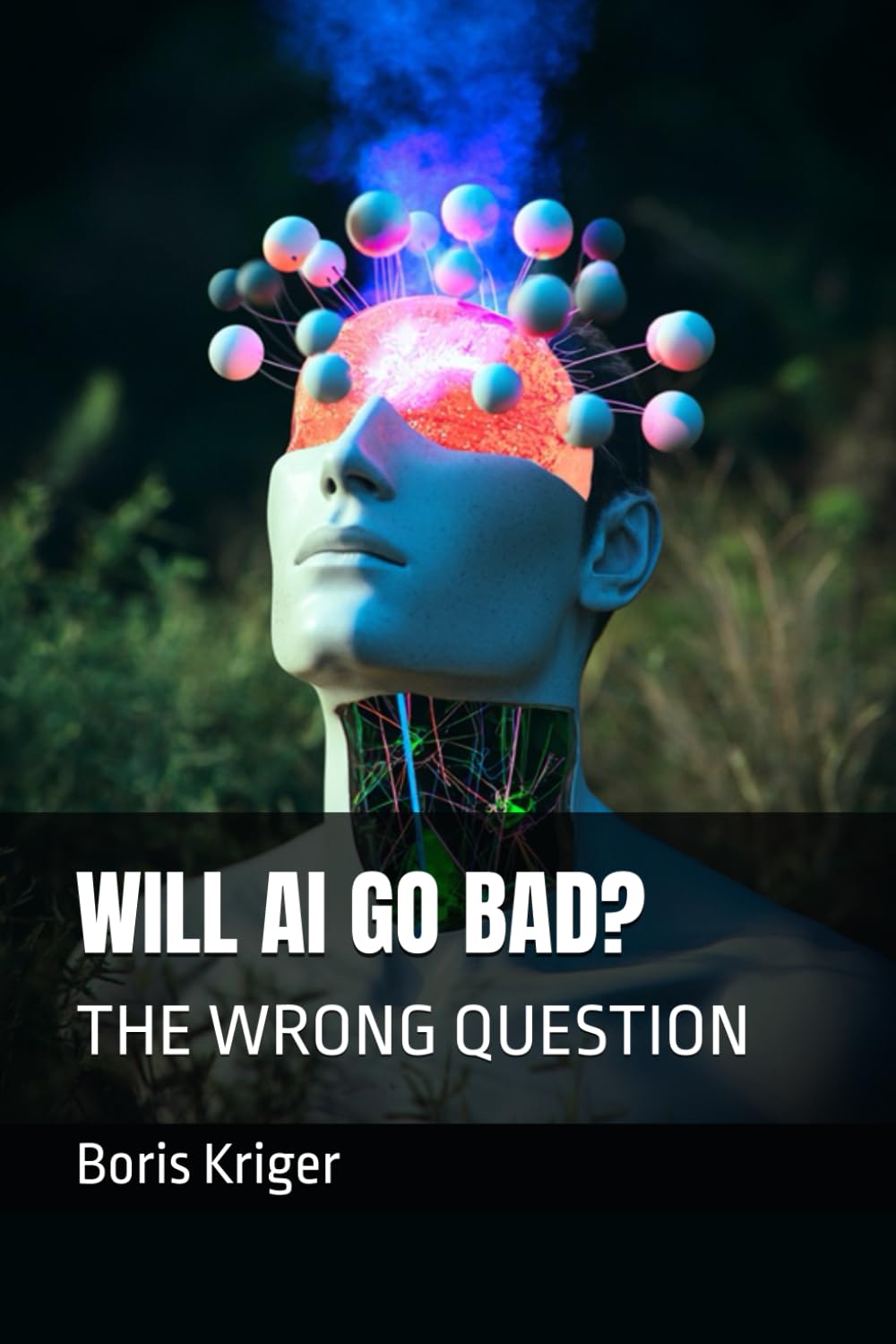 WILL AI GO BAD?: THE WRONG QUESTION (Business and Professional Development)