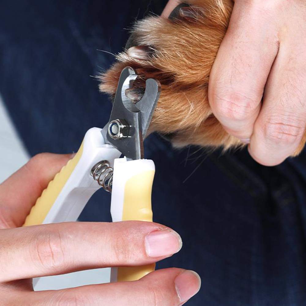Animali Cane E Gatto Nail Clippers con Piscina A Guardia di Blocco di Sicurezza in Acciaio Inox Molto Facile da Nail Use Best Pet Trimmer per Animali di Piccola E Grande Taglia,L