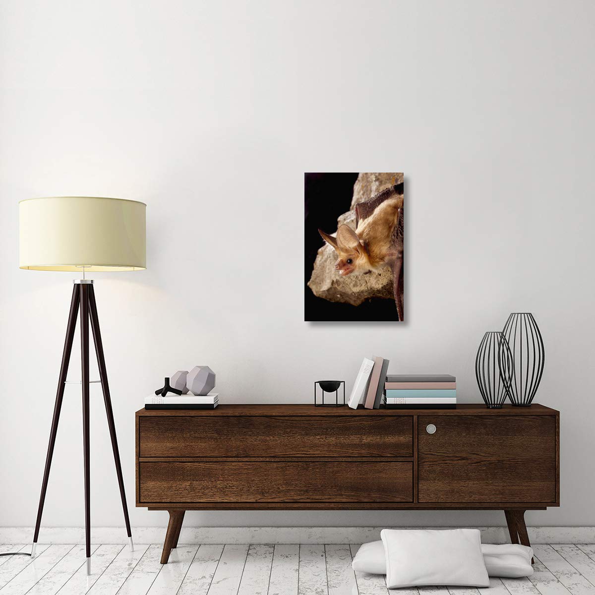 Pipistrello pallido su rimrock di notte, Washington-Canvas Art-20"x30"
